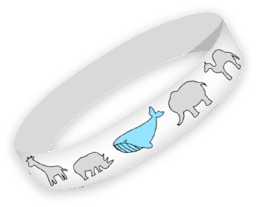 wristband illustration by Cara (teammate)